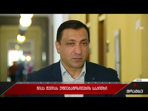 ნიკა მელიას სადეპუტატო უფლებამოსილების საკითხი